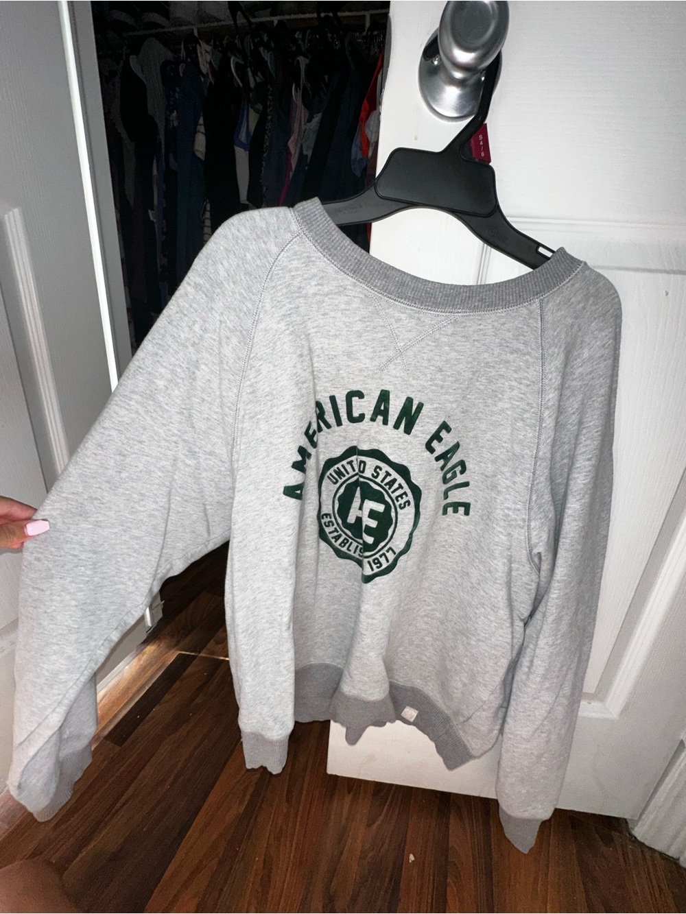 American Eagle Outfitters Light Gray Sweatshirt with Dark Green Logo